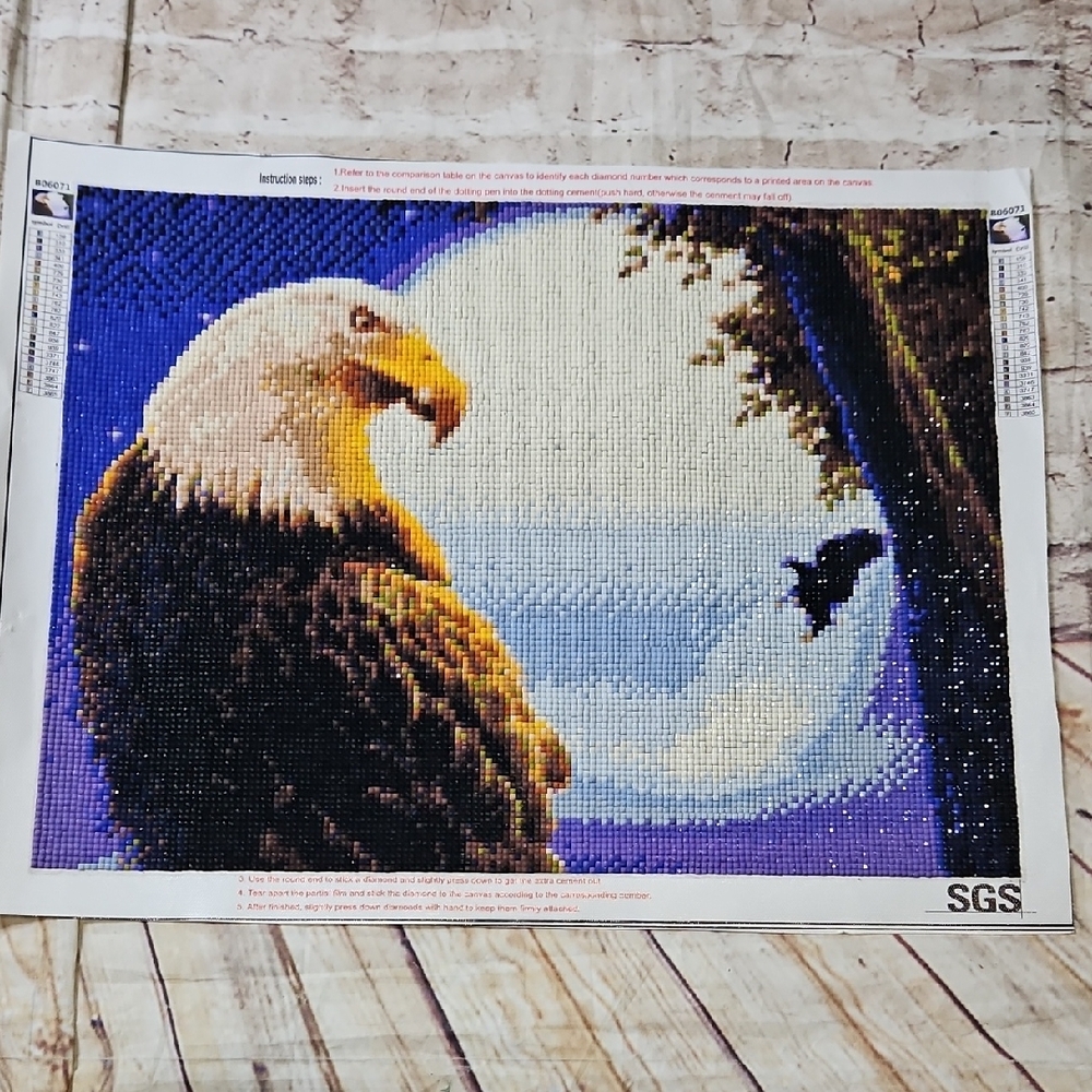 Diamond Painting Eagle Completed‎